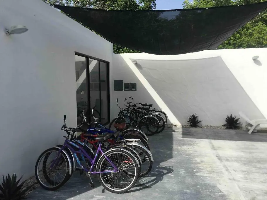 “La Villa Ross” Un Lugar Encantador Con Alberca 0*, Cozumel Mexico